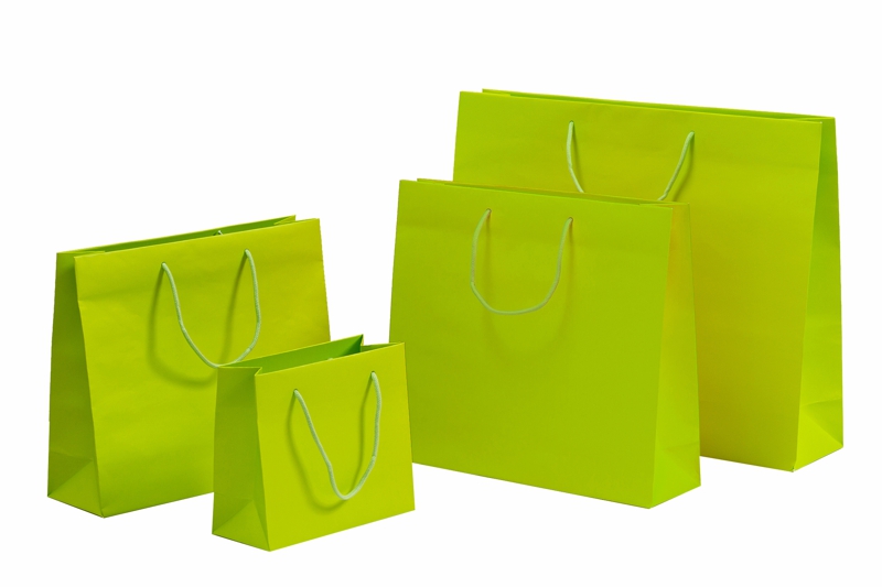 tausendtypentragetaschen - grüne, maigrüne Papiertaschen in 4 Größen mit Baumwollkordel in Taschenfarbe